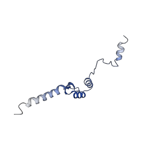 20651_6u5o_P_v1-4
Structure of the Human Metapneumovirus Polymerase bound to the phosphoprotein tetramer