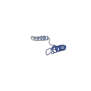 20651_6u5o_Q_v1-4
Structure of the Human Metapneumovirus Polymerase bound to the phosphoprotein tetramer