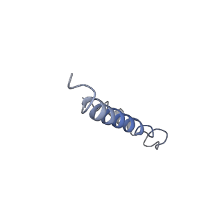 20651_6u5o_R_v1-3
Structure of the Human Metapneumovirus Polymerase bound to the phosphoprotein tetramer