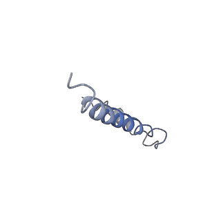 20651_6u5o_R_v1-4
Structure of the Human Metapneumovirus Polymerase bound to the phosphoprotein tetramer