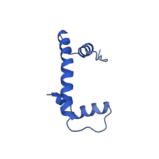 26336_7u50_B_v1-1
APE1 bound to a nucleosome core particle with AP-site at SHL-6
