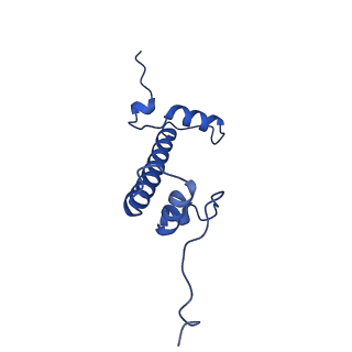 26336_7u50_C_v1-1
APE1 bound to a nucleosome core particle with AP-site at SHL-6