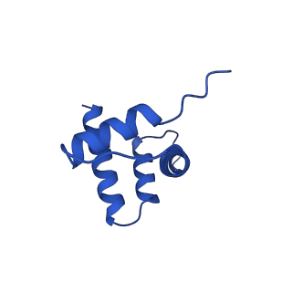 26336_7u50_D_v1-1
APE1 bound to a nucleosome core particle with AP-site at SHL-6