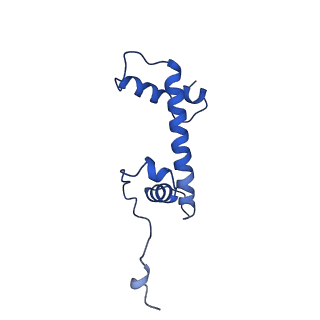 26336_7u50_G_v1-1
APE1 bound to a nucleosome core particle with AP-site at SHL-6