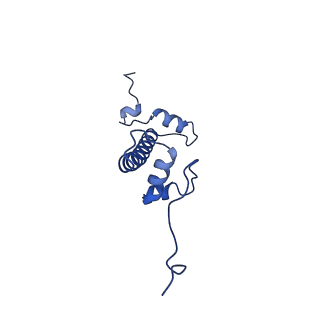 26337_7u51_C_v1-1
Nucleosome core particle with AP-site at SHL-6