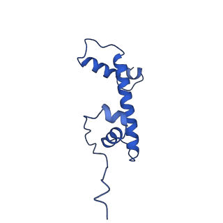 26337_7u51_G_v1-1
Nucleosome core particle with AP-site at SHL-6