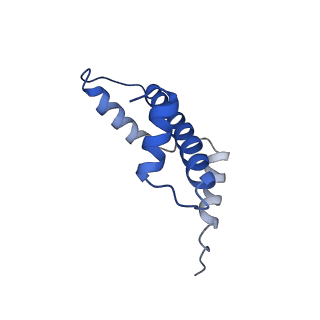 26338_7u52_A_v1-1
nucleosome core particle with AP-site at SHL-6.5