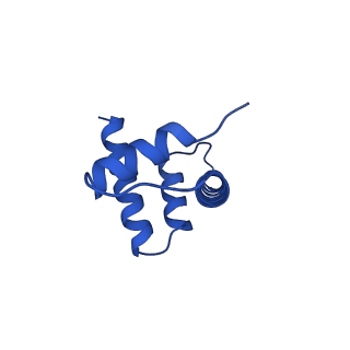 26338_7u52_D_v1-1
nucleosome core particle with AP-site at SHL-6.5