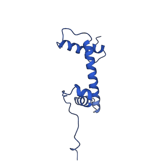 26338_7u52_G_v1-1
nucleosome core particle with AP-site at SHL-6.5