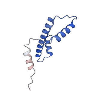 26339_7u53_A_v1-1
Nucleosome core particle with AP-site at SHL0