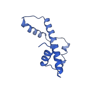 26339_7u53_E_v1-1
Nucleosome core particle with AP-site at SHL0