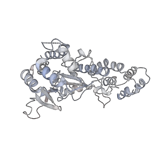 26346_7u5c_A_v1-2
Cryo-EM structure of human CST bound to DNA polymerase alpha-primase in a recruitment state