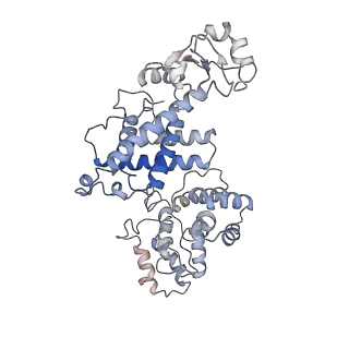 26346_7u5c_B_v1-2
Cryo-EM structure of human CST bound to DNA polymerase alpha-primase in a recruitment state