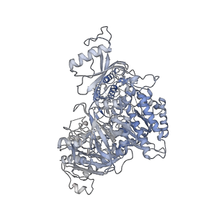 26346_7u5c_C_v1-2
Cryo-EM structure of human CST bound to DNA polymerase alpha-primase in a recruitment state
