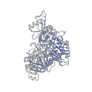 26346_7u5c_C_v1-3
Cryo-EM structure of human CST bound to DNA polymerase alpha-primase in a recruitment state