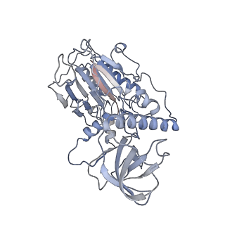 26346_7u5c_D_v1-2
Cryo-EM structure of human CST bound to DNA polymerase alpha-primase in a recruitment state