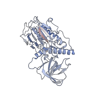 26346_7u5c_D_v1-3
Cryo-EM structure of human CST bound to DNA polymerase alpha-primase in a recruitment state