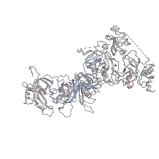 26346_7u5c_E_v1-2
Cryo-EM structure of human CST bound to DNA polymerase alpha-primase in a recruitment state