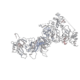 26346_7u5c_E_v1-3
Cryo-EM structure of human CST bound to DNA polymerase alpha-primase in a recruitment state