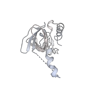 26346_7u5c_F_v1-3
Cryo-EM structure of human CST bound to DNA polymerase alpha-primase in a recruitment state