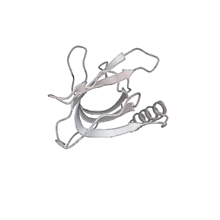 26346_7u5c_G_v1-3
Cryo-EM structure of human CST bound to DNA polymerase alpha-primase in a recruitment state