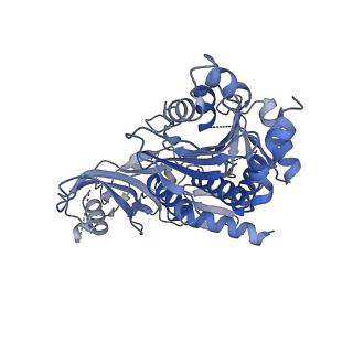 26350_7u5h_E_v1-2
Cryo-EM Structure of DNPEP