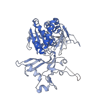 26350_7u5h_J_v1-2
Cryo-EM Structure of DNPEP