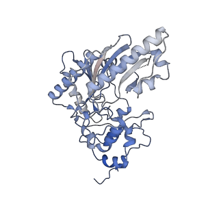 26351_7u5i_A_v1-2
Cryo-EM Structure of Mitochondrial Creatine Kinase
