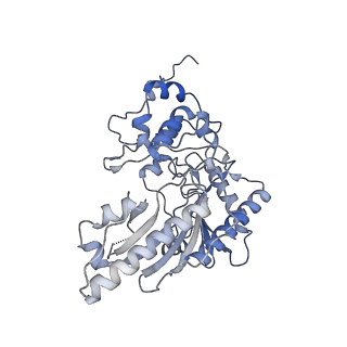 26351_7u5i_B_v1-2
Cryo-EM Structure of Mitochondrial Creatine Kinase