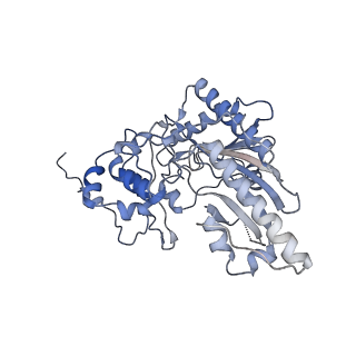 26351_7u5i_C_v1-2
Cryo-EM Structure of Mitochondrial Creatine Kinase