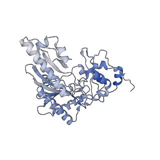 26351_7u5i_D_v1-2
Cryo-EM Structure of Mitochondrial Creatine Kinase
