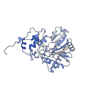 26351_7u5i_E_v1-2
Cryo-EM Structure of Mitochondrial Creatine Kinase