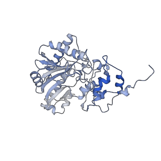 26351_7u5i_F_v1-2
Cryo-EM Structure of Mitochondrial Creatine Kinase