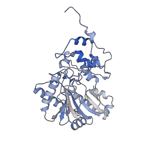 26351_7u5i_G_v1-2
Cryo-EM Structure of Mitochondrial Creatine Kinase
