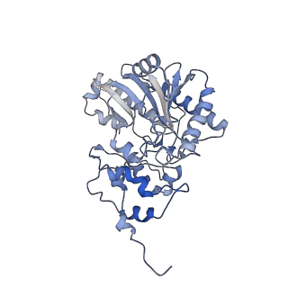 26351_7u5i_H_v1-2
Cryo-EM Structure of Mitochondrial Creatine Kinase
