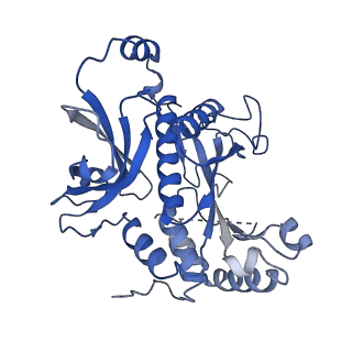 26356_7u5n_A_v1-2
Cryo-EM Structure of Glutamine Synthetase