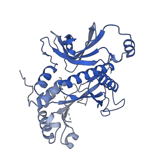 26356_7u5n_B_v1-2
Cryo-EM Structure of Glutamine Synthetase