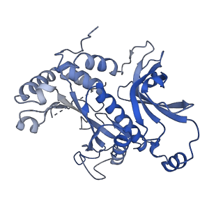 26356_7u5n_C_v1-2
Cryo-EM Structure of Glutamine Synthetase