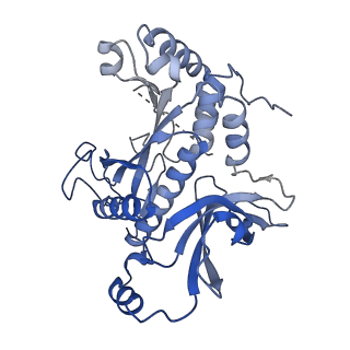 26356_7u5n_D_v1-2
Cryo-EM Structure of Glutamine Synthetase