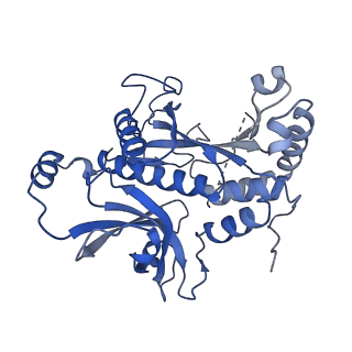 26356_7u5n_E_v1-2
Cryo-EM Structure of Glutamine Synthetase
