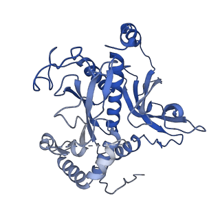 26356_7u5n_F_v1-2
Cryo-EM Structure of Glutamine Synthetase