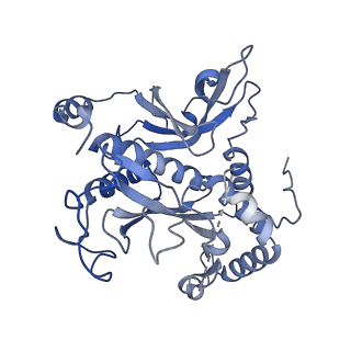 26356_7u5n_G_v1-2
Cryo-EM Structure of Glutamine Synthetase