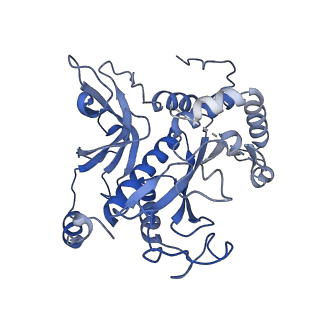 26356_7u5n_H_v1-2
Cryo-EM Structure of Glutamine Synthetase