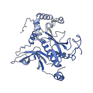 26356_7u5n_I_v1-2
Cryo-EM Structure of Glutamine Synthetase