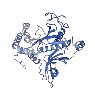 26356_7u5n_J_v1-2
Cryo-EM Structure of Glutamine Synthetase