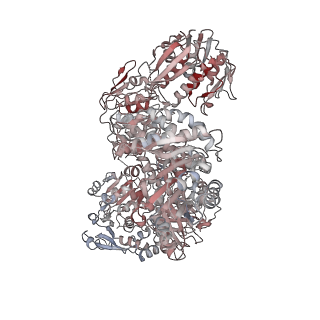 26357_7u5s_B_v1-1
CryoEM structure of the Candida albicans Aro1 dimer