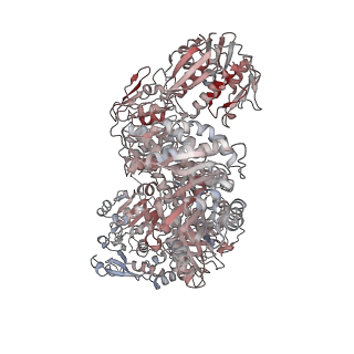 26357_7u5s_B_v1-2
CryoEM structure of the Candida albicans Aro1 dimer