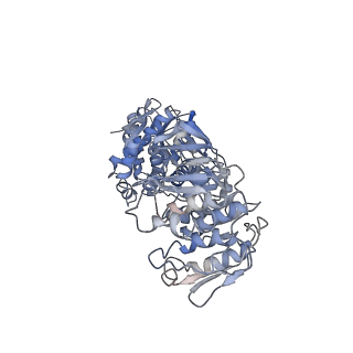 26358_7u5t_A_v1-1
Structure of DHQS/EPSPS dimer from Candida albicans Aro1