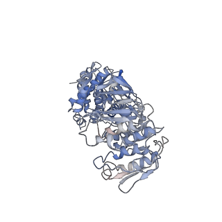 26358_7u5t_A_v1-2
Structure of DHQS/EPSPS dimer from Candida albicans Aro1