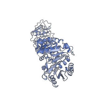 26358_7u5t_B_v1-1
Structure of DHQS/EPSPS dimer from Candida albicans Aro1